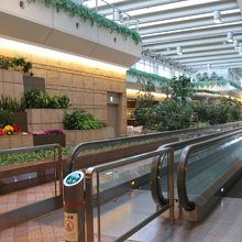 この緑の空間好き