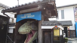 大人も楽しめます