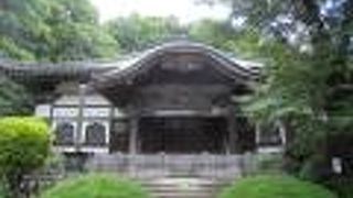 武蔵国国分寺を引き継ぐ寺院 （武蔵国分寺）