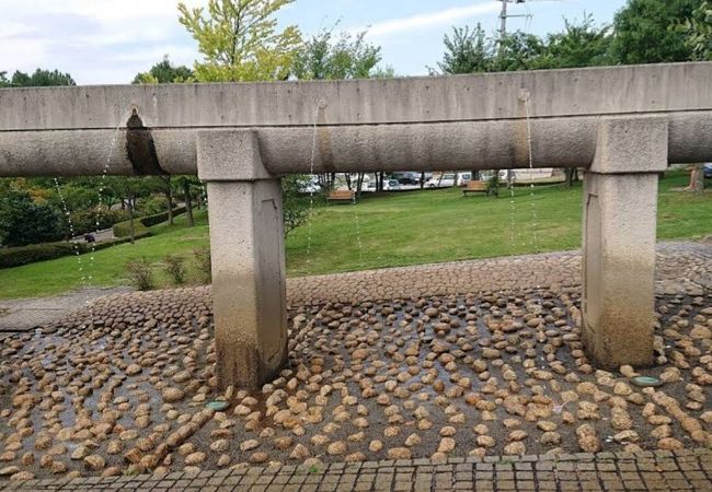 開成山公園 クチコミ アクセス 営業時間 郡山 フォートラベル