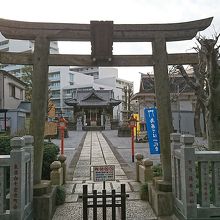 氷川神社鳥居