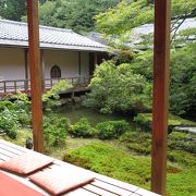 床もみじが有名なお寺