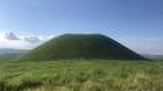 春から夏にかけてがオススメ