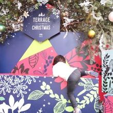 クリスマスツリーのふもと