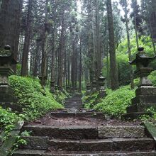 クリアな参道の写真です