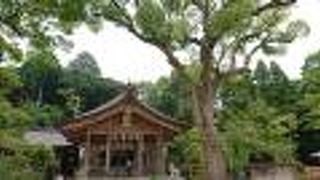 宝満山のふもとにある神社