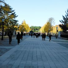 行幸通り(皇居方面)