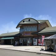 道の駅湖北みずどりステーション：水鳥の飛来する