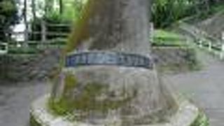 運動施設が充実の公園