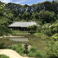 三重塔の手前から池越しに本堂を望む