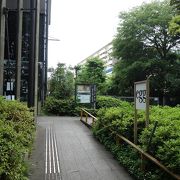 大学に所属の独特な博物館