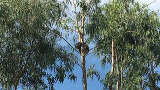 静かに楽しむにはちょうどいい動物園