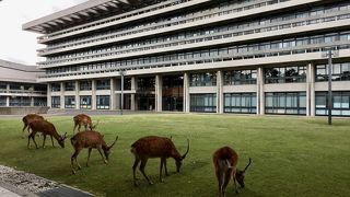 この光景は一体…