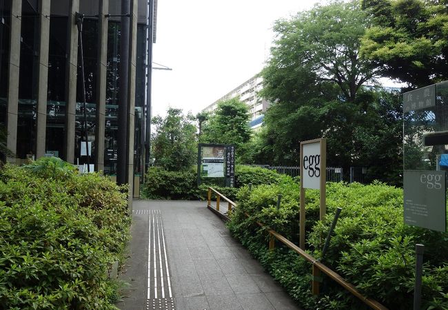 大学に所属の独特な博物館