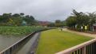 見所が多く、じっくり楽しむならば半日は必要では・・・