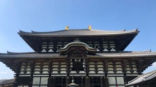 東大寺大仏