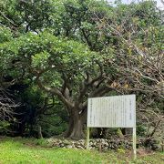 八重瀬城があった高台の公園