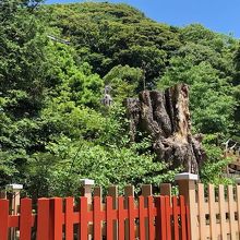 本宮への石段の横に祀られている