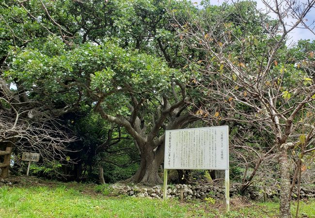 八重瀬城があった高台の公園