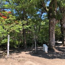 東鳥居からの参道にある