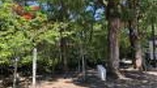 源実朝の歌碑がある