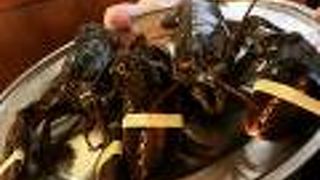 豆板醤ロブスター