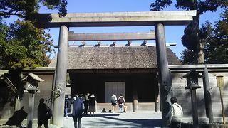 参道の木々に心が洗われました。