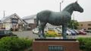 ぽっちゃっとして可愛いわぁ