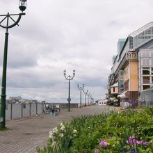 釧路川・河畔ぴろむなーど沿いに在ります