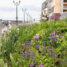 花壇の手入れが行き届いてました