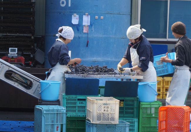 山形でも知る人ぞ知るのワイナリー