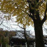 滝不動駅近く、紅葉や庭園など見どころが多いお寺