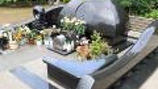 東海寺の大きさが分かる