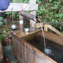 白神山地水飲み場