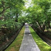 北条早雲ゆかりのお寺