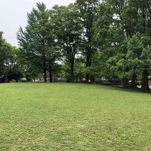公園の広場