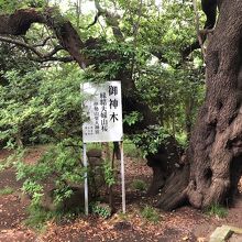 西富伊勢山天照皇大神宮