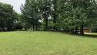 市民の憩いの森になっている