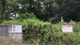 縄文時代の土器が大量に見つかった