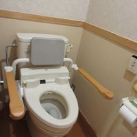 客室のトイレ。手すりもついています。