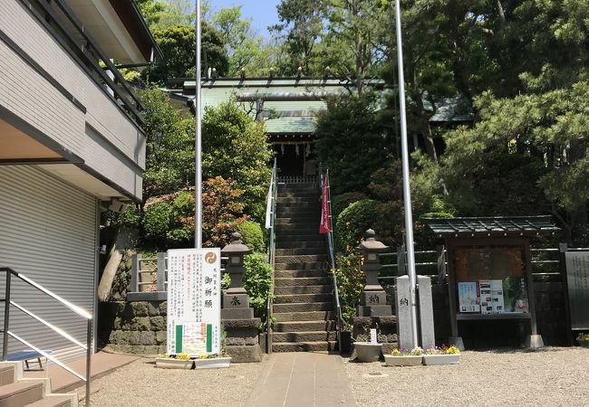 夢見ヶ崎動物公園とセットで