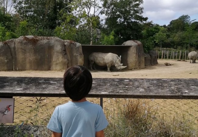 動物園