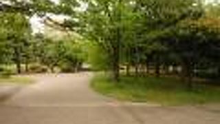 庭園はお休みで