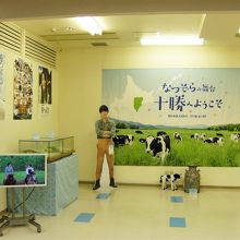 天陽君の等身大展示中