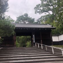 小さいながらも威風堂々としています