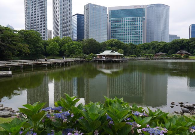 浜離宮恩賜庭園 潮入の池 クチコミ アクセス 営業時間 汐留 フォートラベル