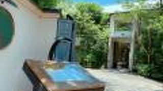 ステキなお庭を見ながら