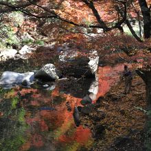 川面まで真っ赤に染まる