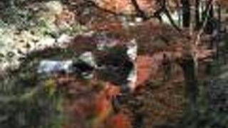 絶景だが、駐車場