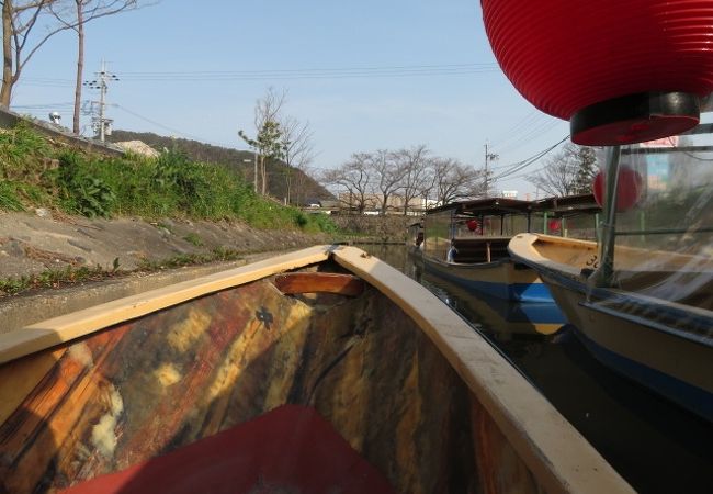 水郷めぐり(水郷のさと まるやま)